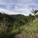 Lot for Sale in Maria Luisa