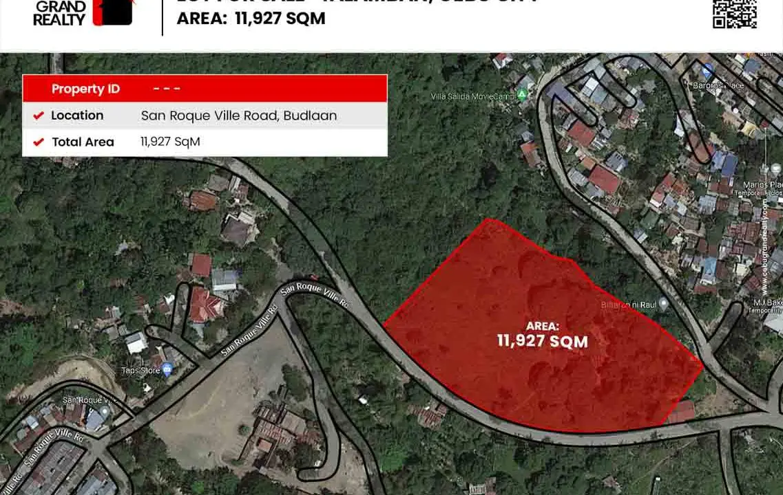 SLTC1 11927 SqM Lot for Sale in Talamban - 1