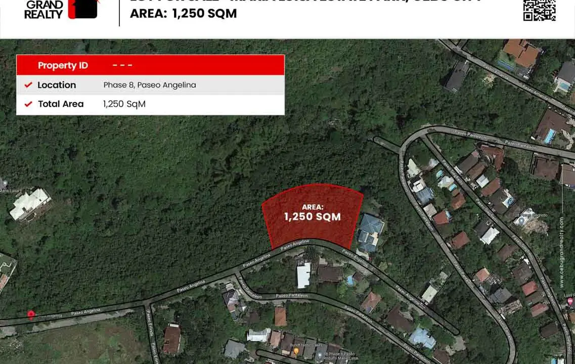 SLML32 1250 SqM Lot for Sale in Maria Luisa Park - 2