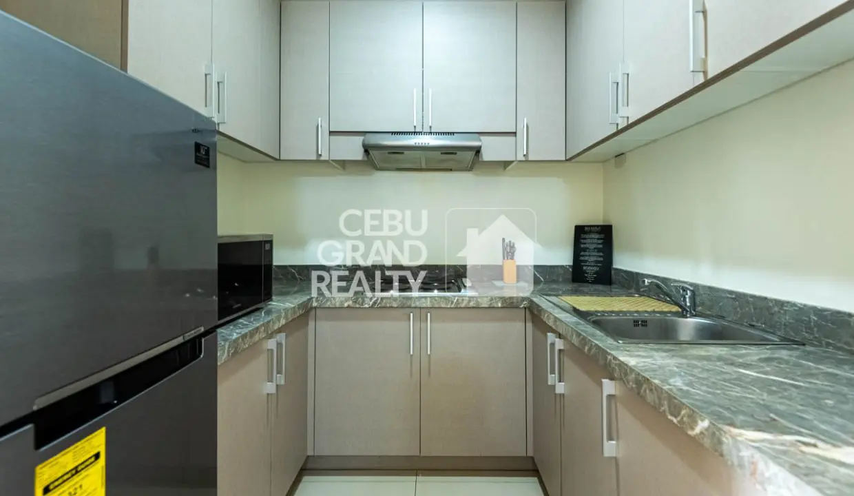 RCTTS39 Furnished 1 Bedroom Condo for Rent in 32 Sanson - 8