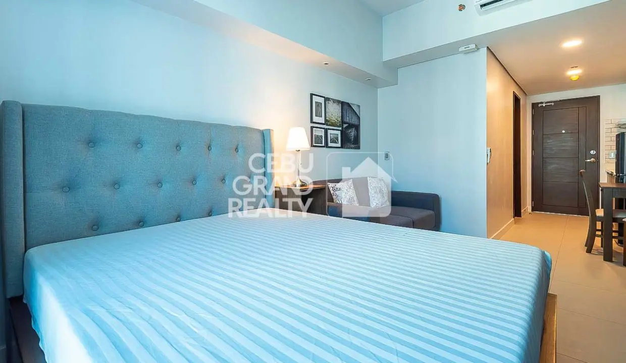 RCTEP3 Furnished Studio for Rent in 38 Park Avenue - 3