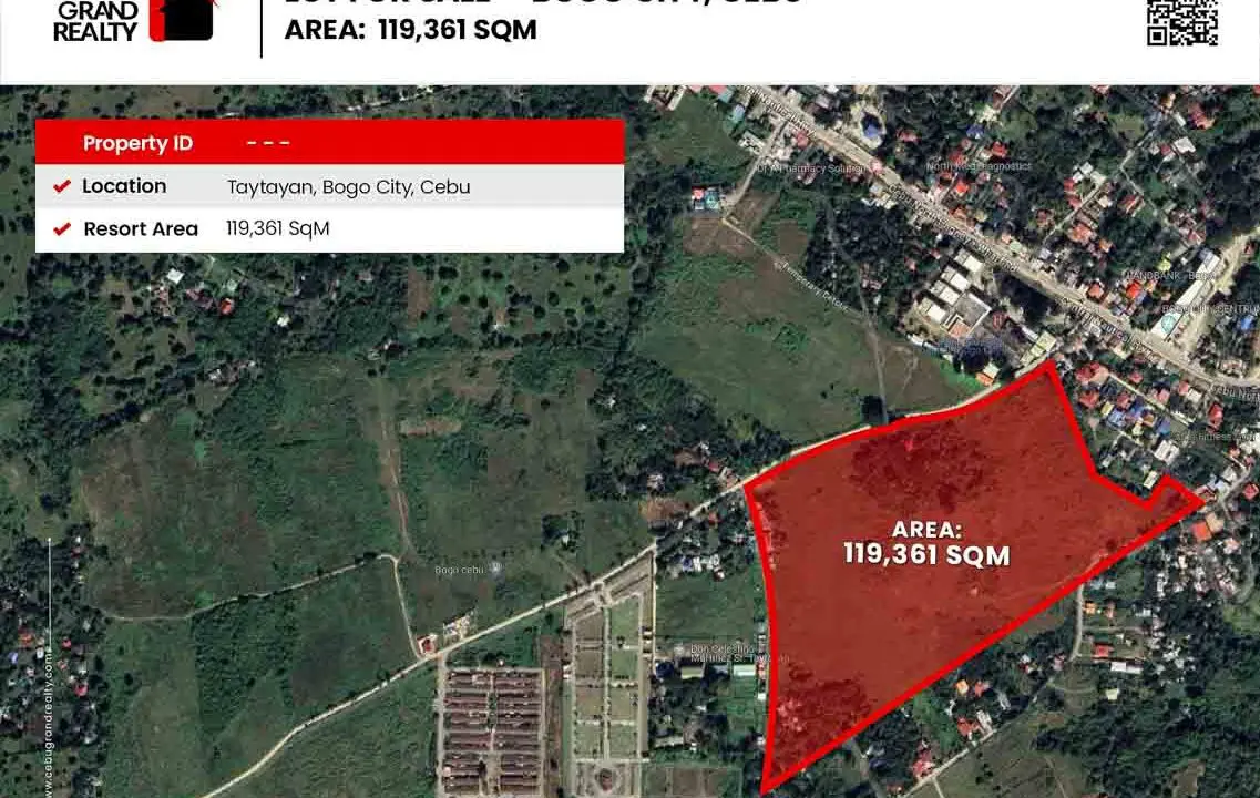 SLBG1 - Investment Opportunity Large Lot for Sale in Bogo City Cebu - Cebu Grand Realty (1)