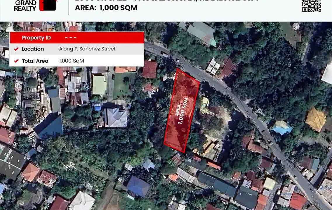 SLPM1 - Rare Lot for Sale in Pagsabungan Mandaue City - Cebu Grand Realty (1)