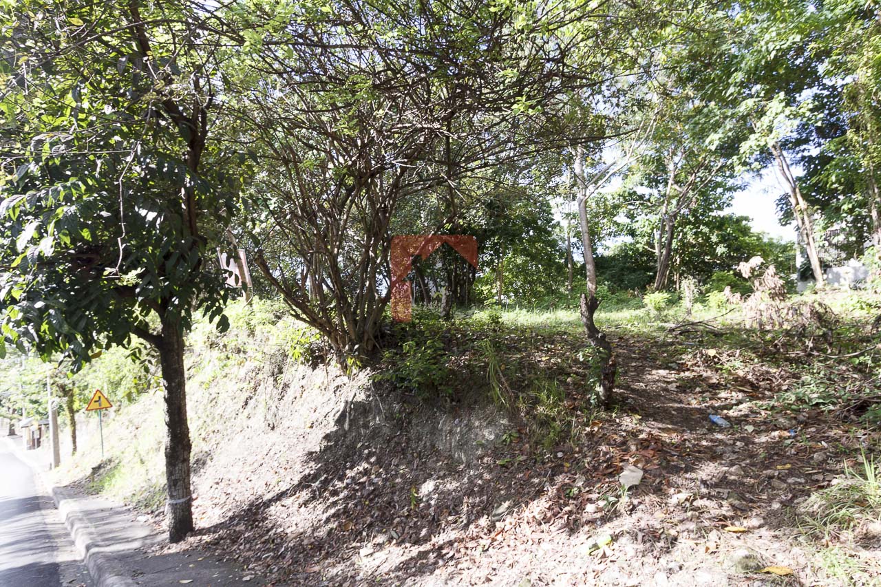 1800 SqM Elevated Lot for Sale in Maria Luisa Park (1)