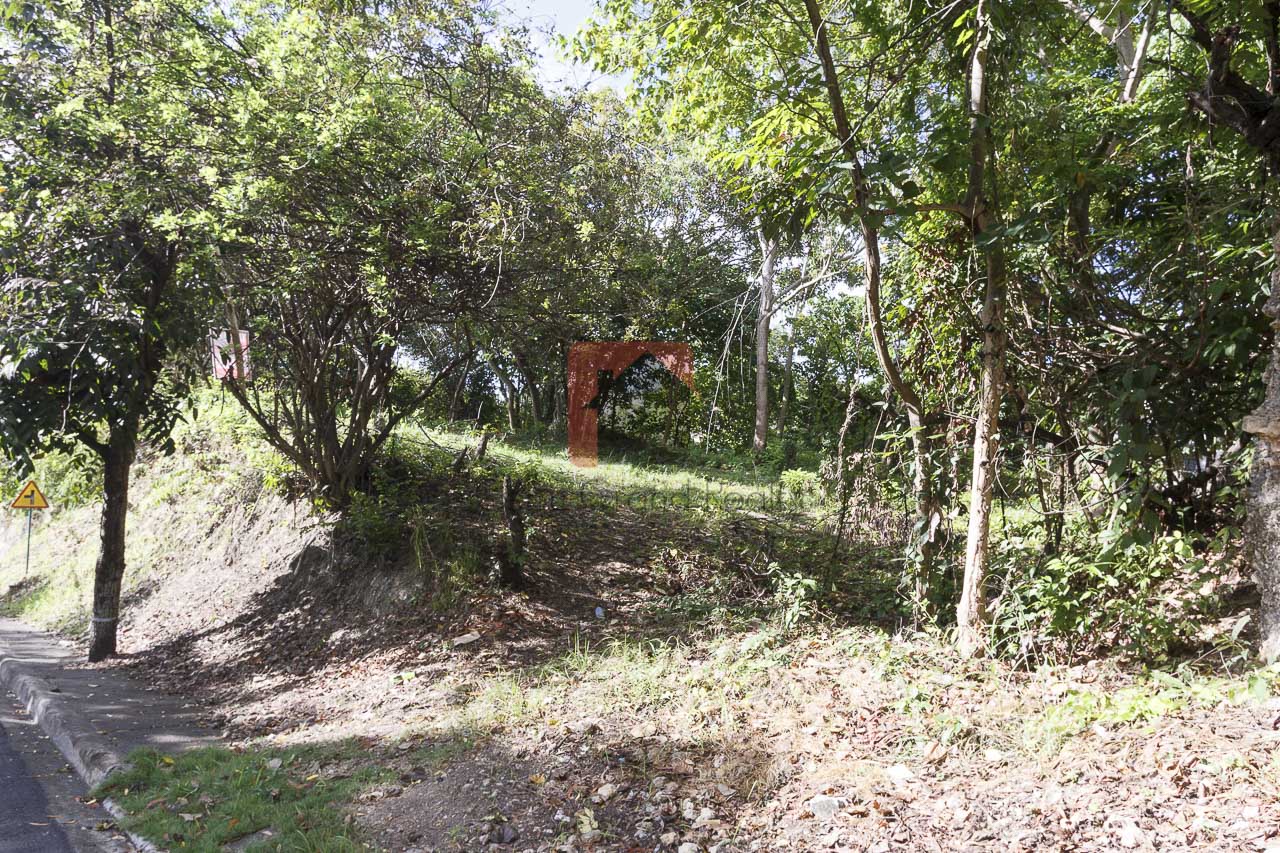 1800 SqM Elevated Lot for Sale in Maria Luisa Park (4)
