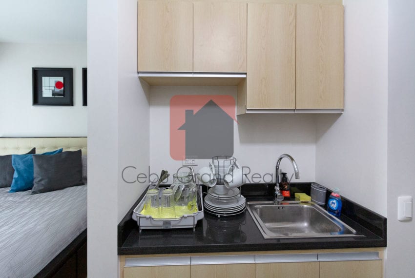 RCS10 Furnished Studio for Rent in Solinea Towers
