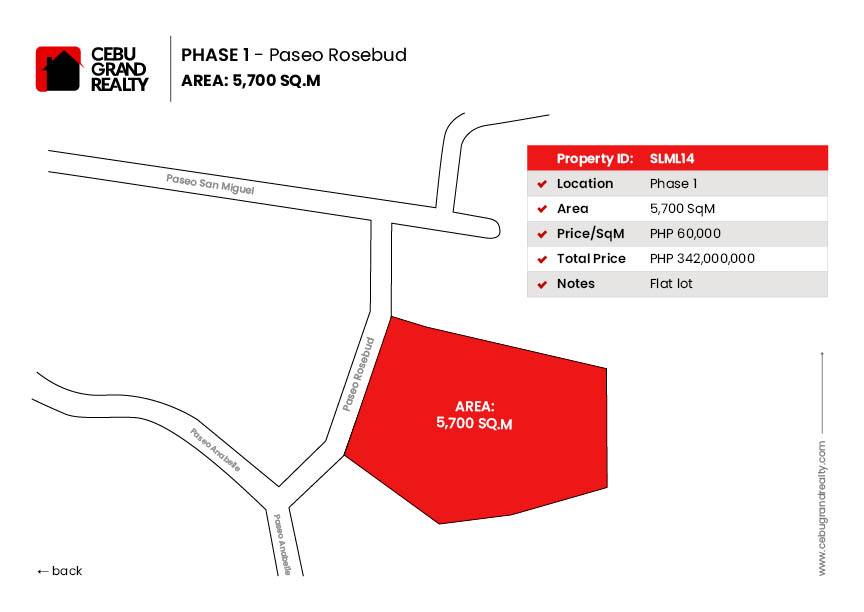 5700 SqM Prime Flat Lot for Sale in Maria Luisa Park Phase 1