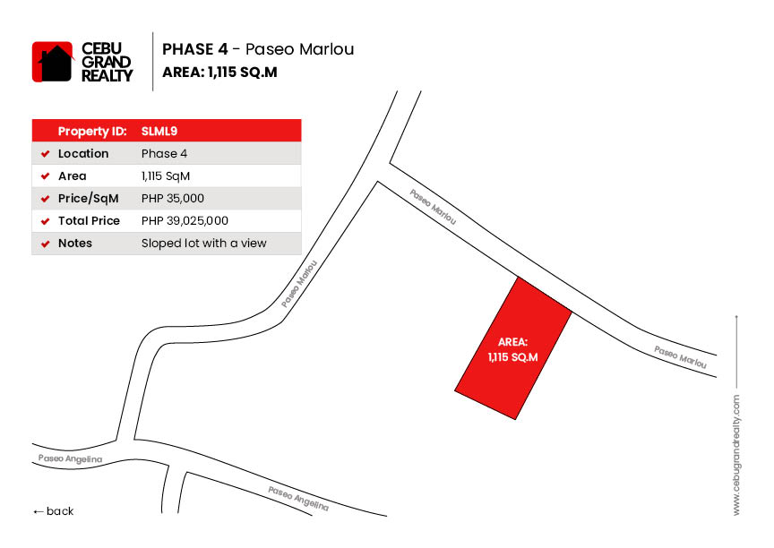 1115 SqM Lot for Sale in Maria Luisa Park Phase 4