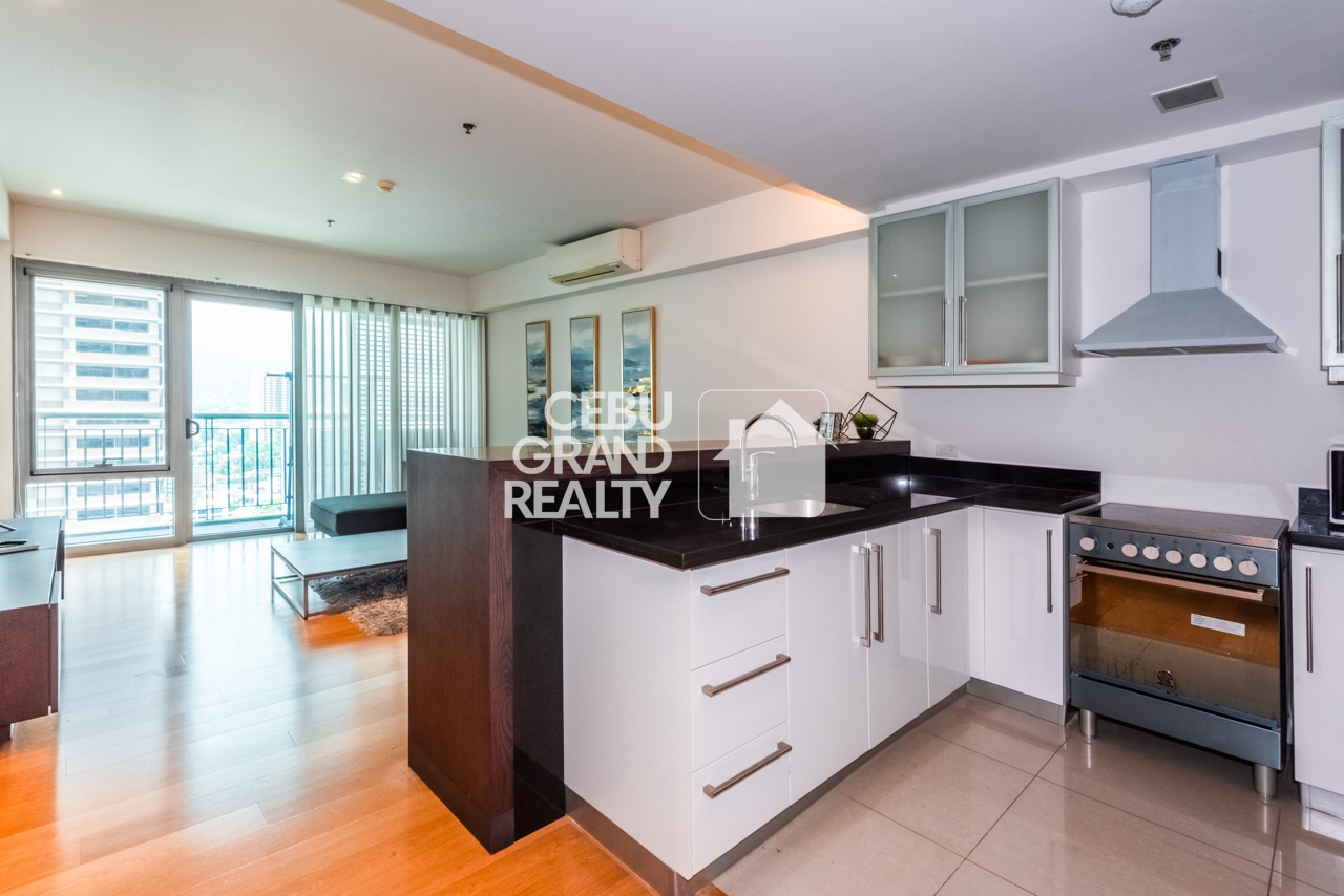 RCPP53 Furnished 1 Bedroom Condo for Rent in Park Point Residences - 1