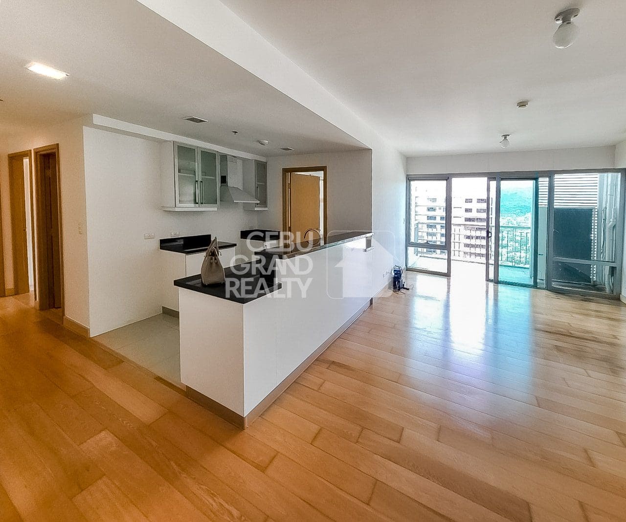 2 Bedroom Condo for Sale in Park Point Residences