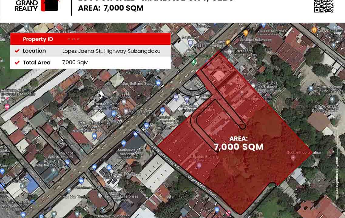 RCPM1 7000 SqM Lot for Rent in Subangdako Mandaue - 2