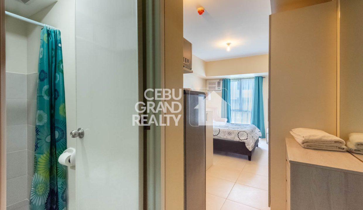 RCAR23 Furnished Studio for Rent in Avida Riala Tower 1 - 9