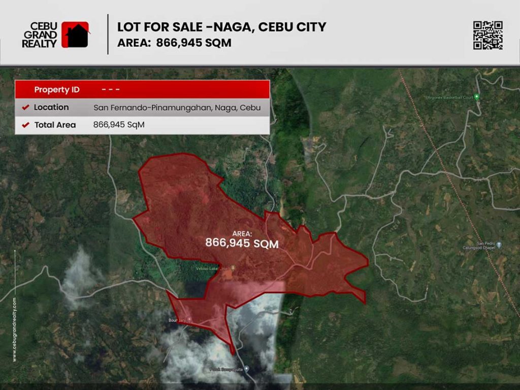 86 Hectare Commercial Lot For Sale in Naga Cebu