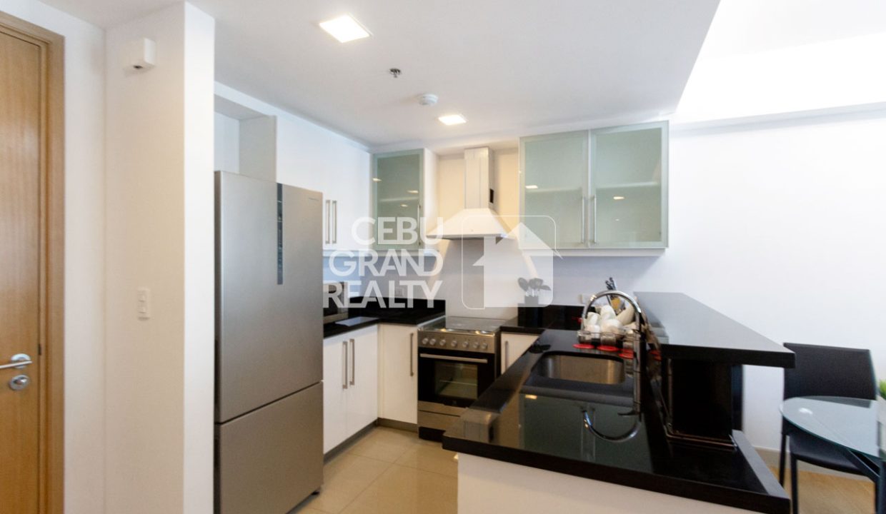 RCPP41 1 Bedroom Condo for Rent in Park Point Residences - 2