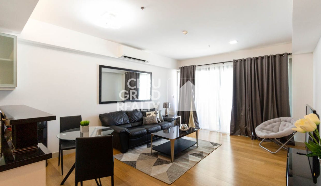 RCPP41 1 Bedroom Condo for Rent in Park Point Residences - 3