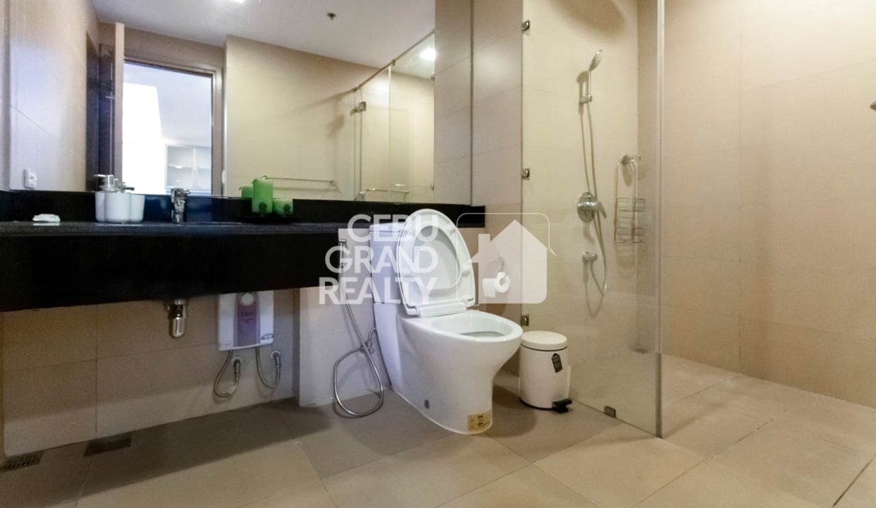RCPP41 1 Bedroom Condo for Rent in Park Point Residences - 6