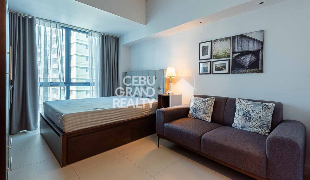 RCTEP3 Furnished Studio for Rent in 38 Park Avenue - 2