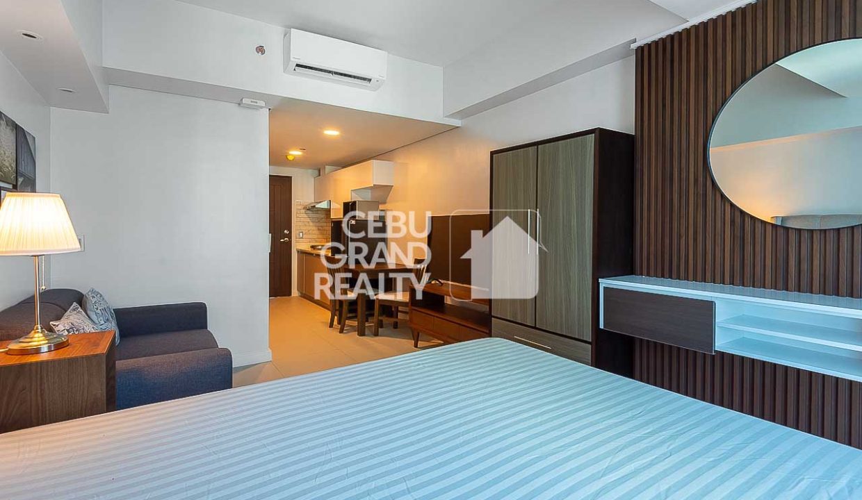 RCTEP3 Furnished Studio for Rent in 38 Park Avenue - 5