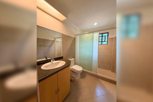 Bathroom with a frosted-glass shower enclosure, wood vanity and wall mirror