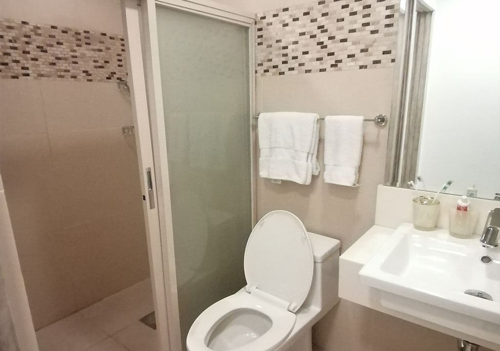 SRDHO3 - Bright and Airy City Living with Sleek Modern - Cebu Grand Realty - (8)