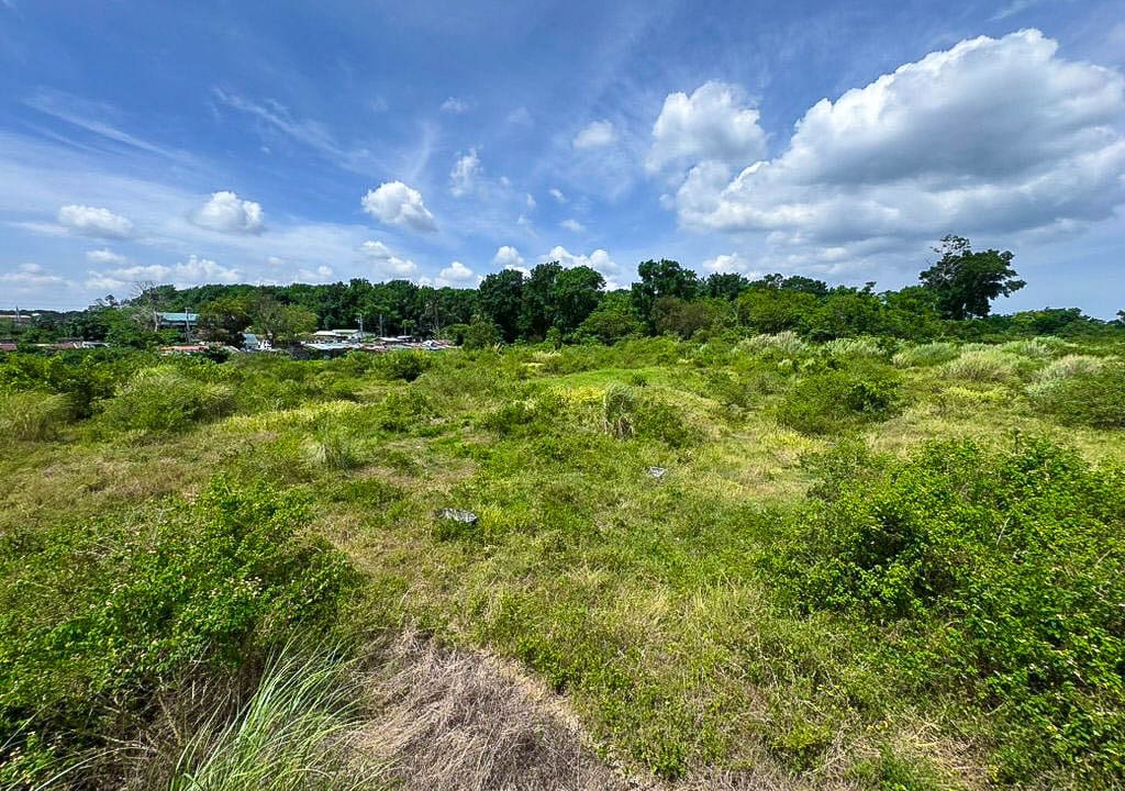 SLBB1 - Versatile Lot Opportunity for Residential and Commercial Ventures - Cebu Grand Realty (7)