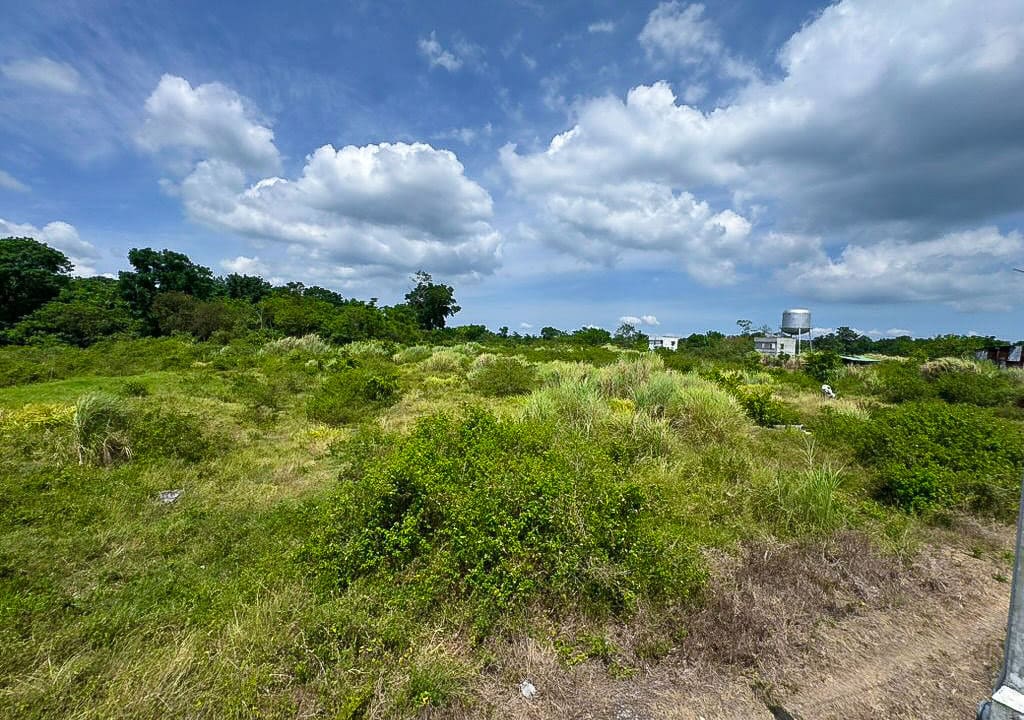 SLBB1 - Versatile Lot Opportunity for Residential and Commercial Ventures - Cebu Grand Realty (8)