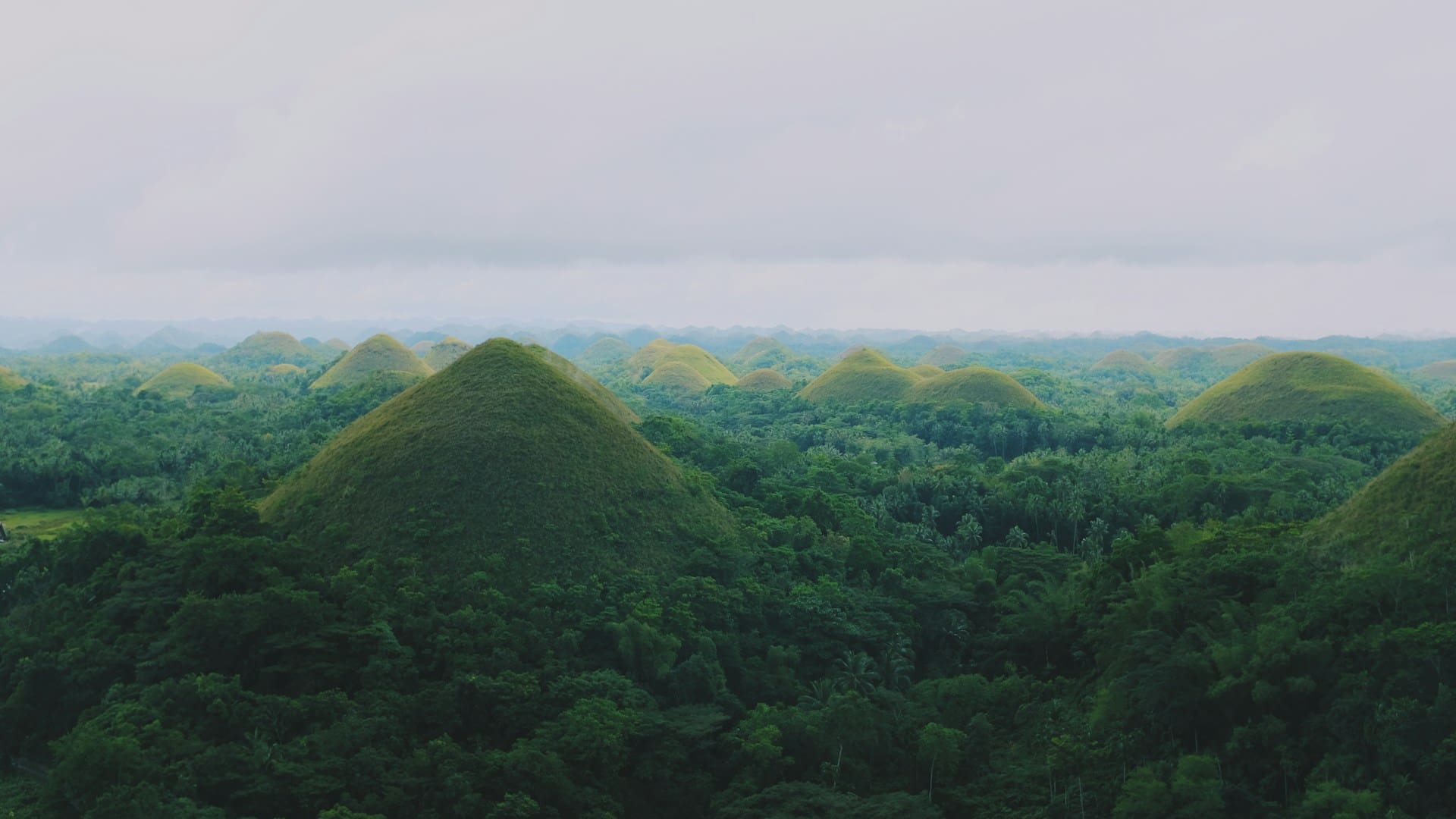 Chocolate Hills in Bohol Philippines