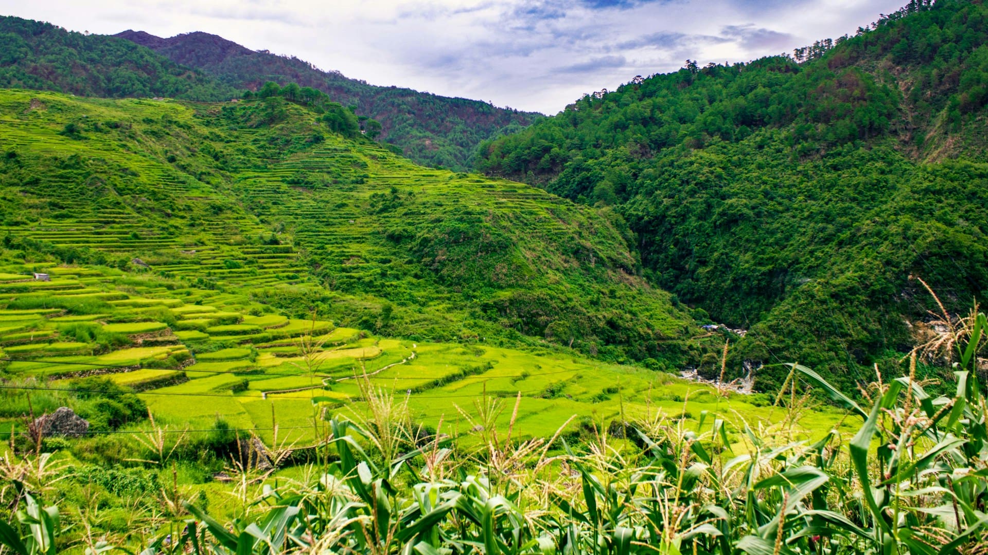 Rice terraces and mountains in Philippines