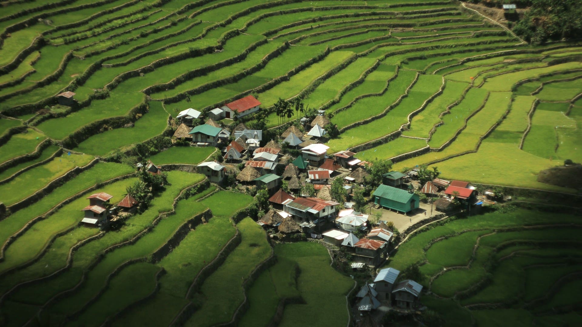 Rice terraces and village in Philippines