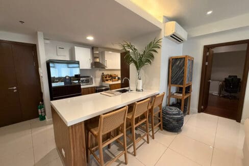 Kitchen work area with sink, palm plant, and split-type aircon at brand-new 1BR at The Alcoves