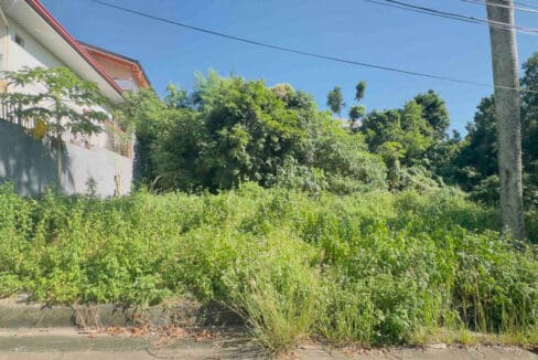 Consolacion lot for sale — flat 191 sqm parcel with light vegetation