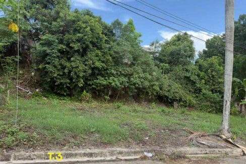 Consolacion lot for sale at El Monte Verde — road frontage view