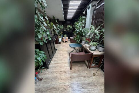 Rooftop garden pathway with tropical plants at Andres Abellana compound house