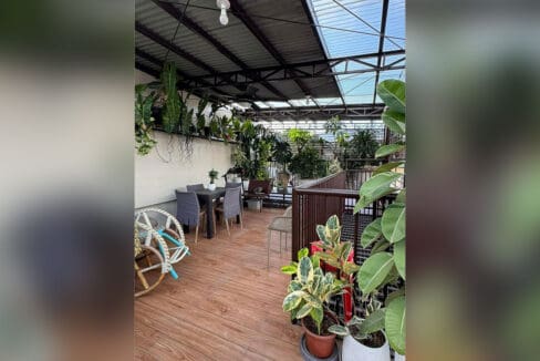 Rooftop garden with lush plants and seating at 7BR compound house Cebu City