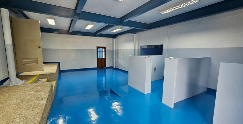 Open-plan 115 sqm ground-floor office space for rent at Cebu Yacht Club, Lapu-Lapu City, with blue epoxy flooring and low partitions