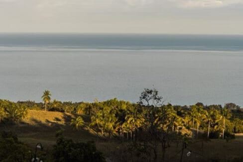 Daytime sea view over coconut palms from the resort for sale in Oslob, Cebu