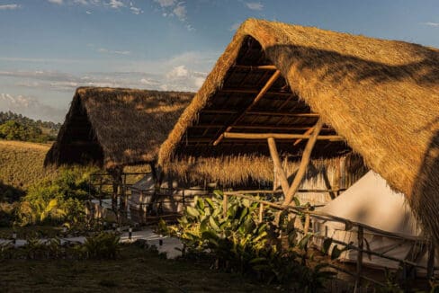 Cogon-roofed glamping tents under blue sky at the resort for sale in Oslob, Cebu