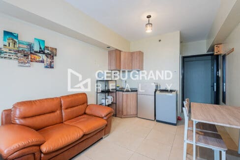 Leather sofa facing the kitchen corner and the entry door of the studio