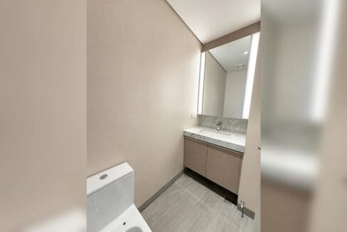 Guest powder room with marble vanity