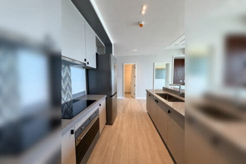 Galley kitchen with induction cooktop, range hood and double sink