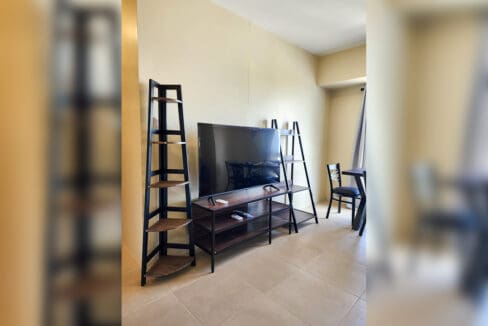 Flat-screen TV on a metal-and-timber console flanked by two ladder shelves