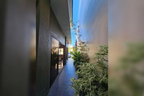 Side garden walkway with bamboo planting