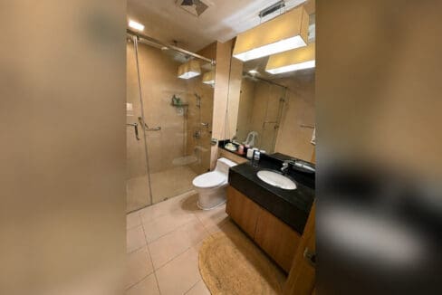 Bathroom with a glass shower enclosure, grab rails and a granite-topped vanity
