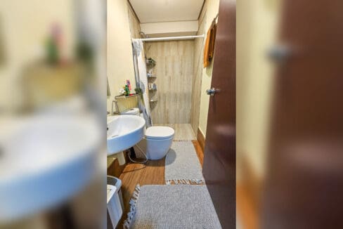 Bathroom with shower caddy, wall-hung basin and wood-look floor