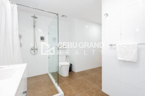 Glass-panel rain shower with handheld spray beside the toilet