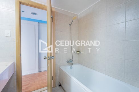 Master bathroom bathtub with hand shower