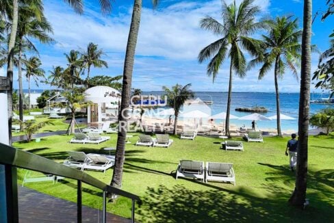 Palm-lined beachfront lawn with sun loungers at Movenpick Mactan