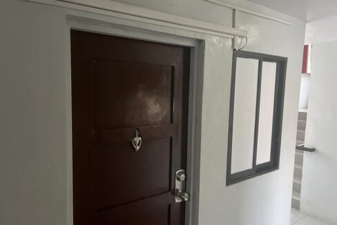 Dark wood front door with a knocker and deadbolt