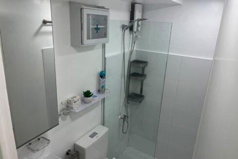 Shower with a glass panel, hand shower, water heater and corner caddy