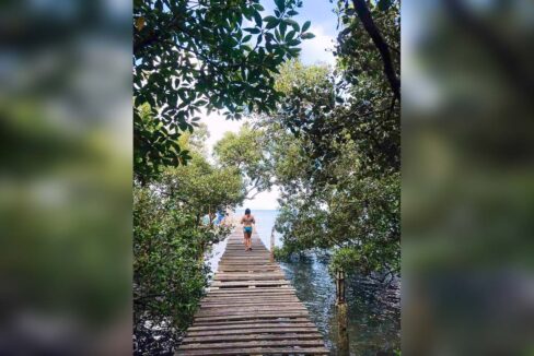 Wooden boardwalk through the mangroves out to the sea in Pasol, Alcoy